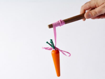 carrot dangling from stick